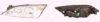 KLOKKERHOLM 25550142A1 Headlight